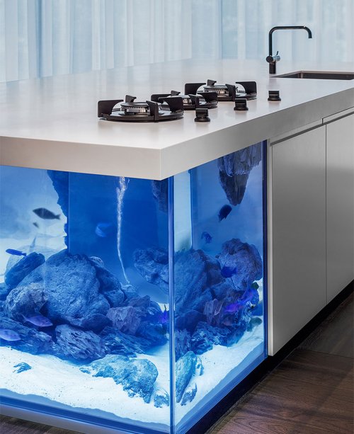 Огромный аквариум посреди кухни от дизайнера Роберта Коленика (3 фото)