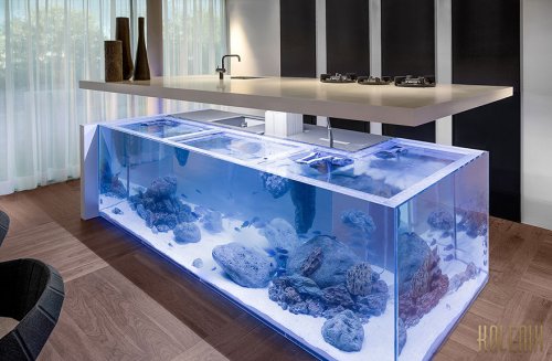 Огромный аквариум посреди кухни от дизайнера Роберта Коленика (3 фото)