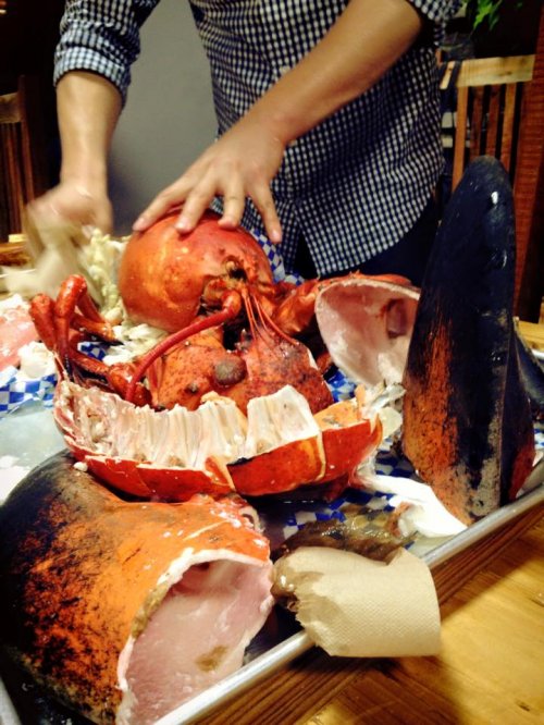 8-килограммовый омар на праздничный обед (5 фото)