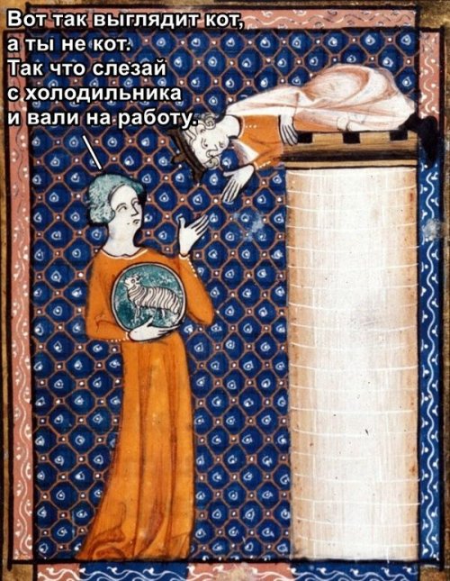 Смешные средневековые картинки