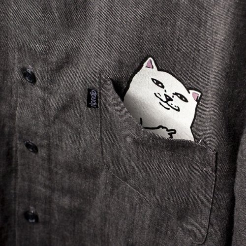 Кот в кармане с сюрпризом для любопытных (5 фото)