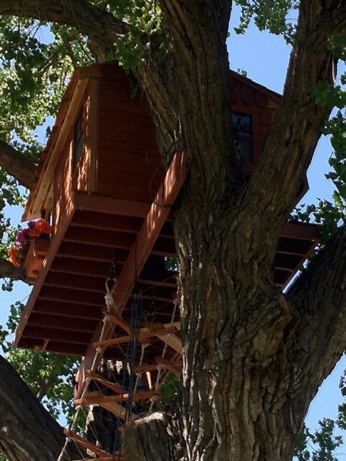 Домик на дереве для любимой дочки (27 фото)