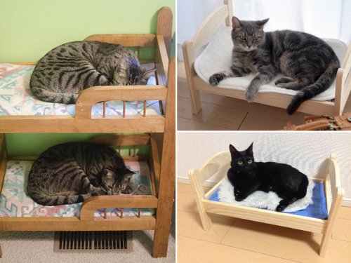 Кошки в кукольных кроватках (15 фото)