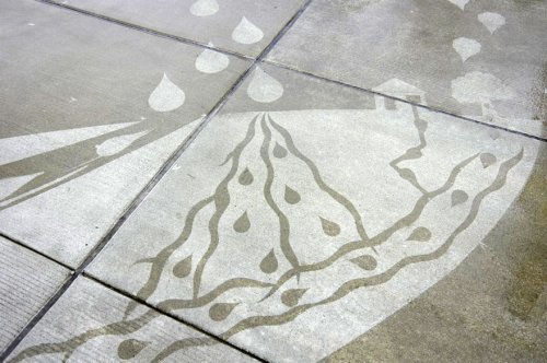 Искусство дождя: рисунки, которые проявляются, когда идёт дождь (6 фото + видео)