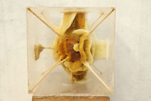 Произведения искусства из пчелиного воска (12 фото)