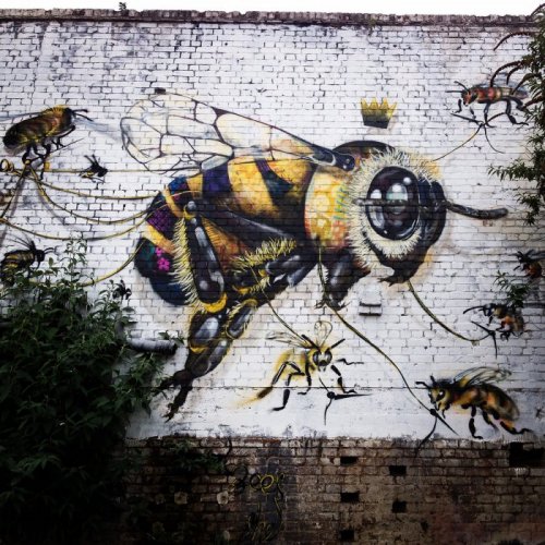 Стрит-арт проект в поддержку медоносных пчёл (10 фото)