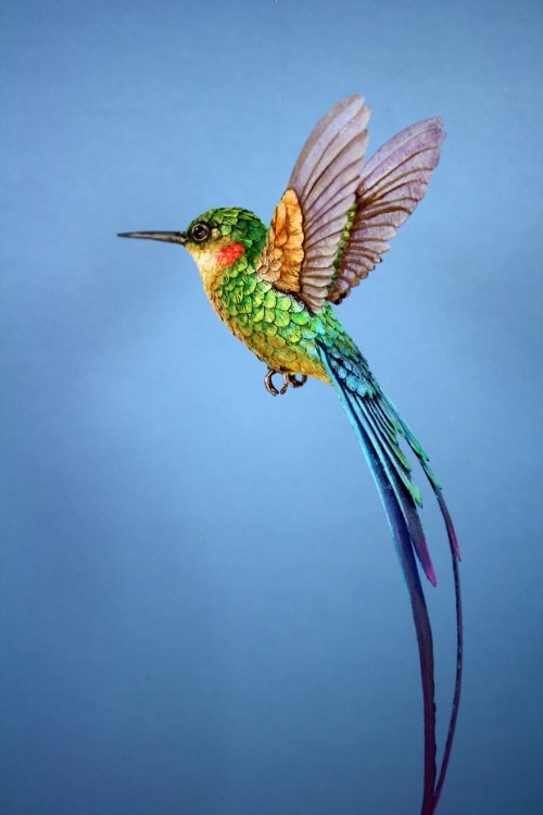 Скульптуры птиц от Зака Маклафлина (12 фото)