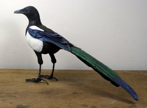 Скульптуры птиц от Зака Маклафлина (12 фото)