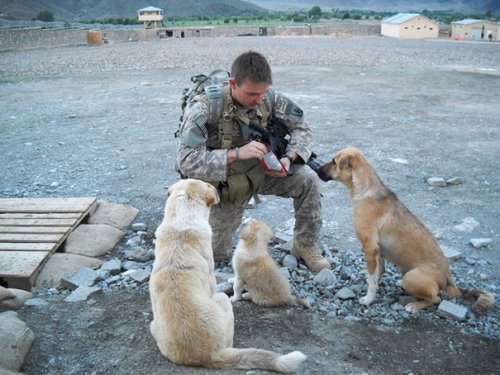 Военные рядом с животными (33 фото)