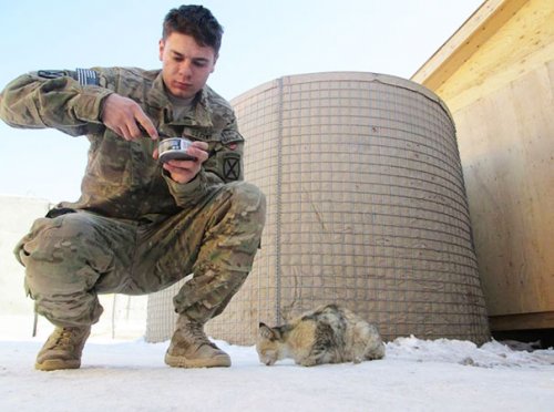Военные рядом с животными (33 фото)