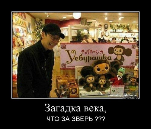 Демотиваторы-приколы (12 шт)