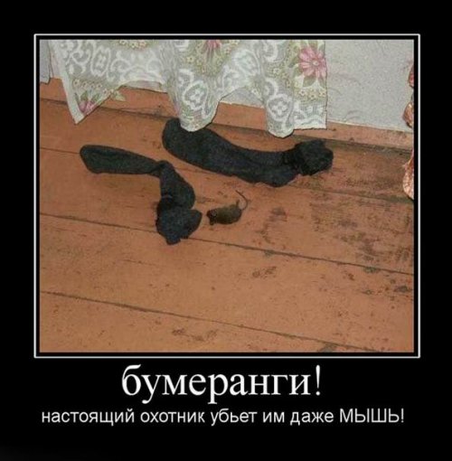 Демотиваторы-приколы (12 шт)