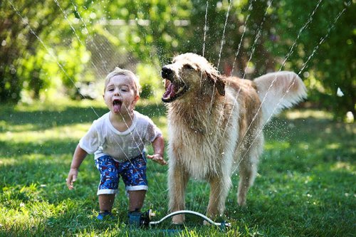 Очаровательные фотографии детей с собаками (34 фото)