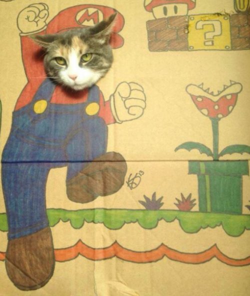 Кошки в образе Марио (10 фото)