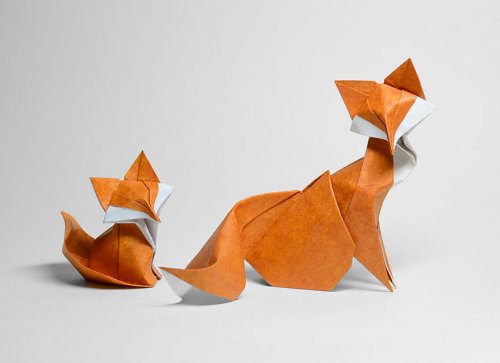 Оригами по технике мокрого складывания, которые создаёт Хоан Тиен Куит (7 фото)