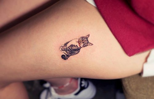 Татуировки кошек, которые делают в сеульском салоне Sol Tattoo (10 фото)