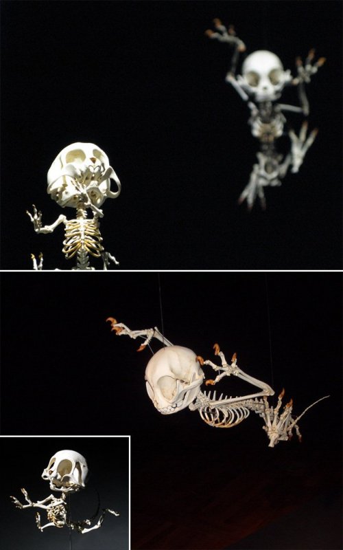 Скелеты диснеевских мультперсонажей (7 фото)