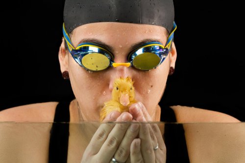 Спортсменка по плаванию и утёнок Пушистик (7 фото)