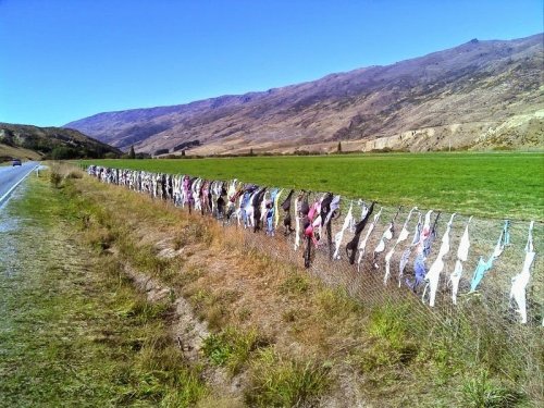 Бюстгальтеровый забор в Новой Зеландии (9 фото)
