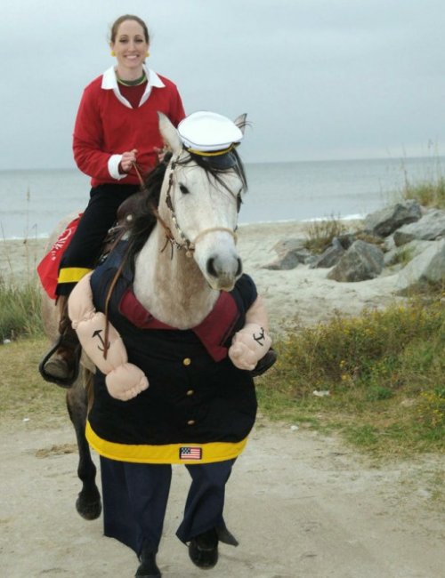 Лошади и наездники в необычных костюмах (10 фото)
