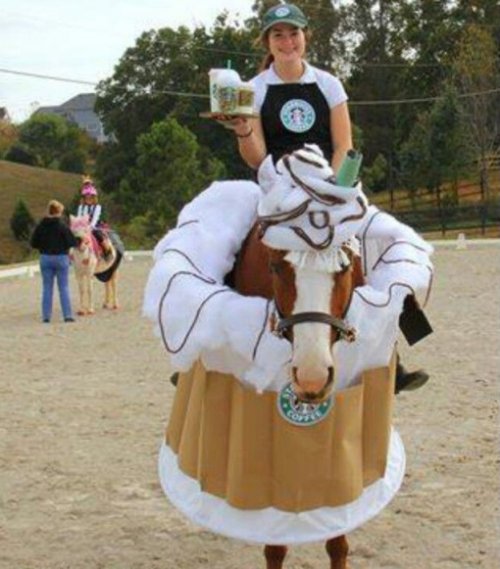 Лошади и наездники в необычных костюмах (10 фото)