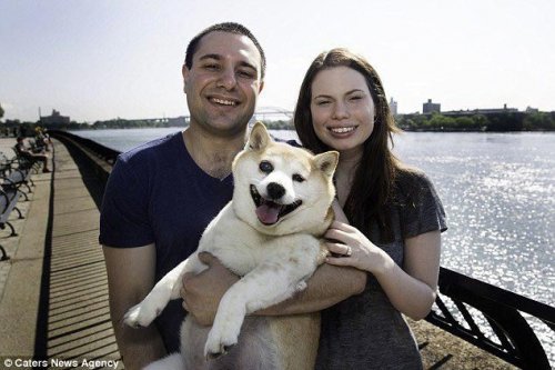 Корица — самая улыбчивая в мире собака (10 фото)