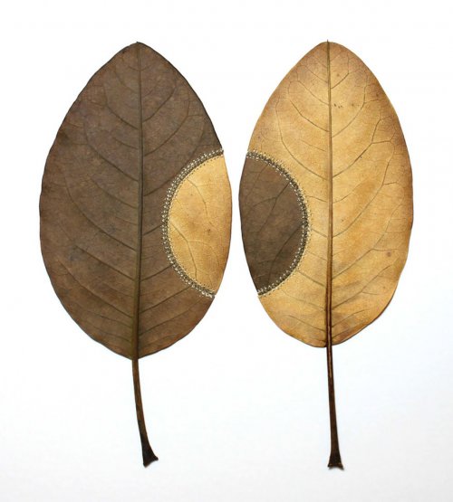 Изящные скульптуры из листьев Сюзанны Бауэр (18 фото)