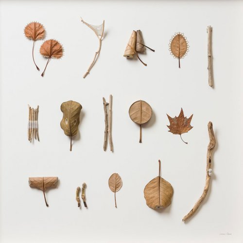 Изящные скульптуры из листьев Сюзанны Бауэр (18 фото)