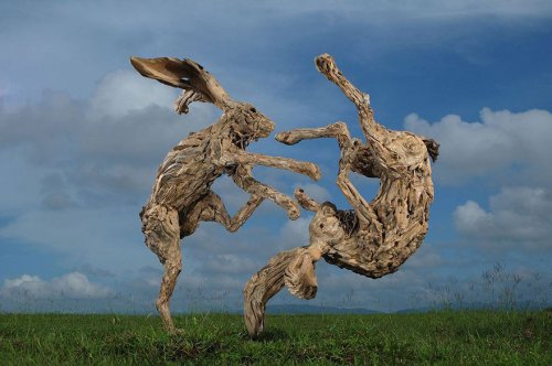 Впечатляющие скульптуры из обычных коряг Джеймса Доран-Вебба (18 фото)