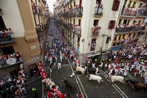 Энсьерро, или бег быков по улицам Памплона (20 фото)