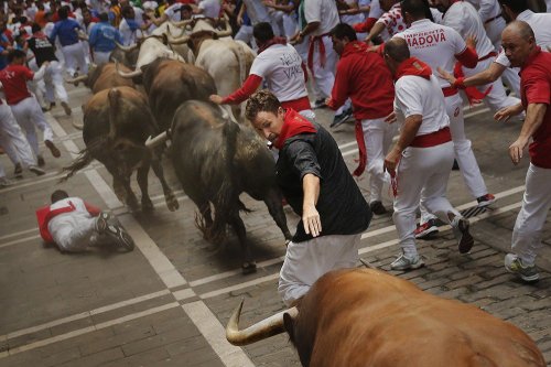Энсьерро, или бег быков по улицам Памплона (20 фото)