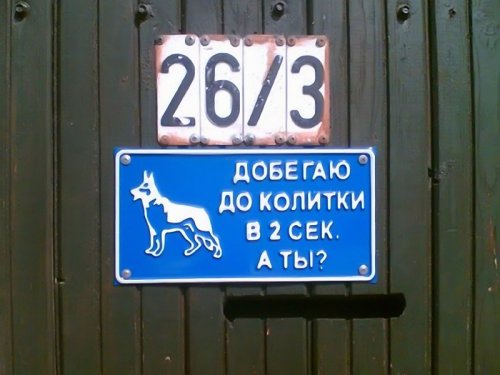 Смешные и забавные таблички-предупреждения о собаках во дворе (17 фото)