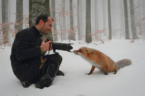 Животные, которые хотят быть фотографами (31 фото)