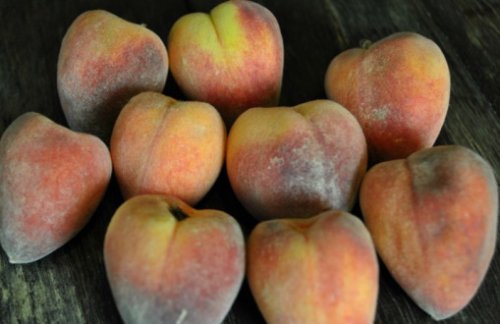Топ-10: Странные, редкие и необычные персики