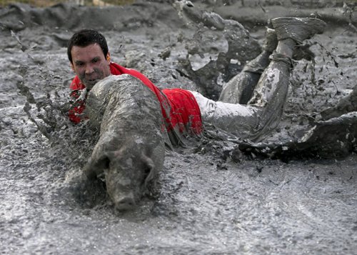 Ловля свиней в грязи на Festival du Cochon-2015 (17 фото)