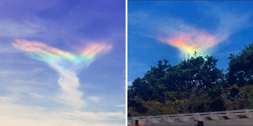 Редкое природное явление "Огненная радуга" в небе над Южной Каролиной (6 фото)