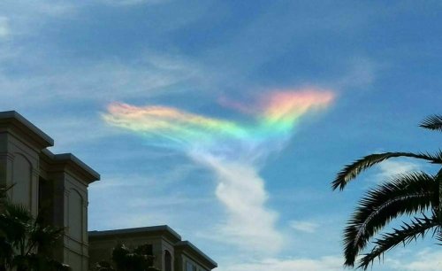 Редкое природное явление "Огненная радуга" в небе над Южной Каролиной (6 фото)