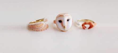 Оригинальные кольца, которые вместе составляют фигурку животного (10 фото)