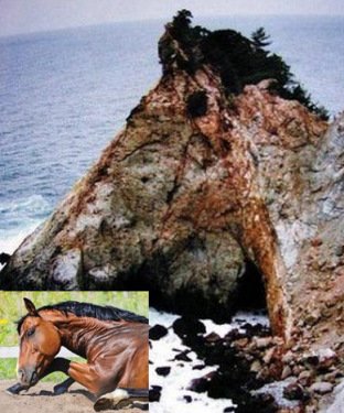 Скальные образования, напоминающие животных (10 фото)