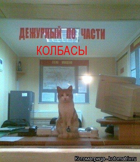 Еженедельная котоматрица (26 фото)