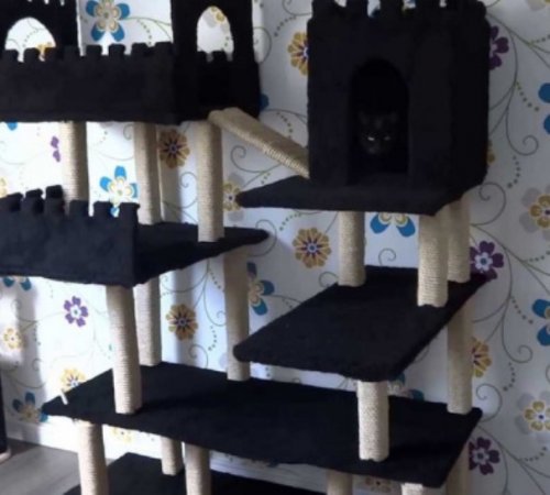 Необычные и прикольные кошачьи башни (10 фото)