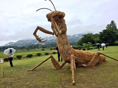 Соломенные скульптуры на Wara Art Festival в Японии (13 фото)
