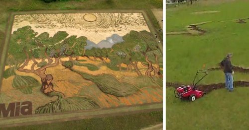 Гигантская картина Ван Гога на поле у города Иган (8 фото + видео)