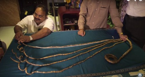 Шридхар Чиллал — обладатель самых длинных в мире ногтей (6 фото)