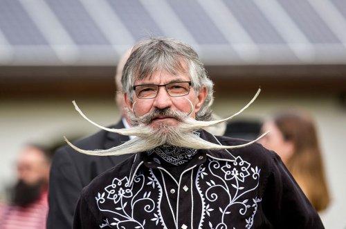 Участники Всемирного чемпионата среди усачей и бородачей (16 фото)