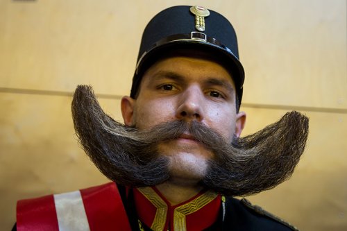 Участники Всемирного чемпионата среди усачей и бородачей (16 фото)