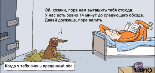Свежий сборник комиксов (27 шт)
