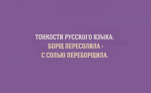 Прикольные картинки об особенностях русского языка (15 шт)