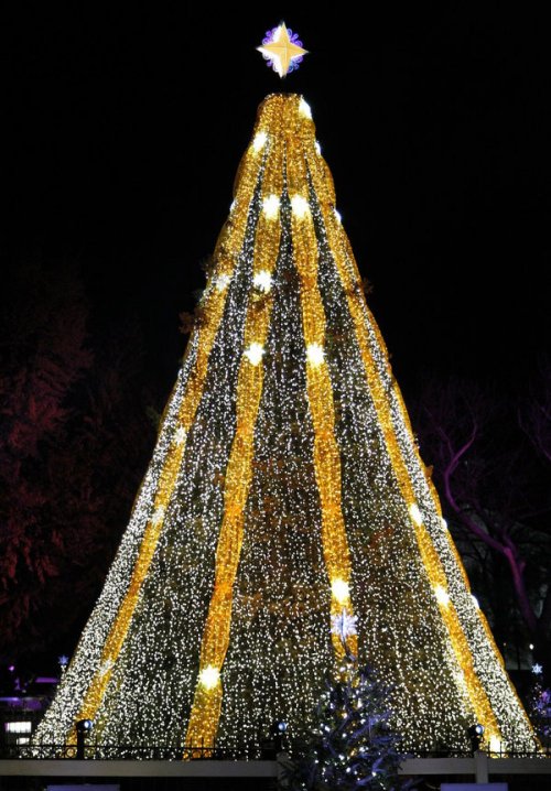 Самые красивые и оригинальные новогодние ёлки со всего света (11 фото)