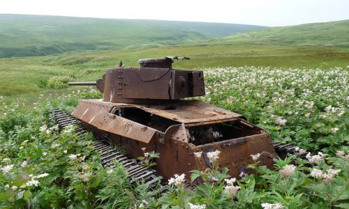 Заброшенные танки в разных уголках мира (28 фото)